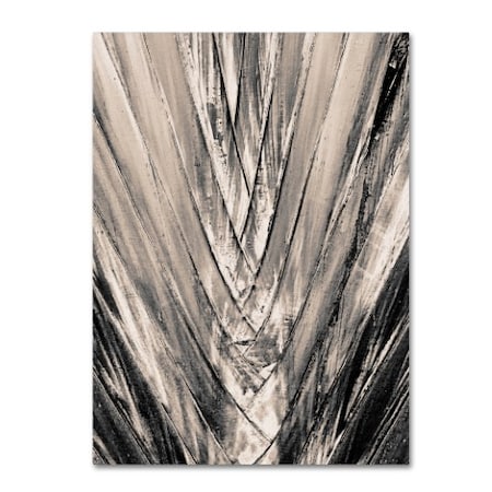 Patty Tuggle 'Sepia Palm' Canvas Art,24x32